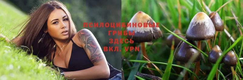 Псилоцибиновые грибы Magic Shrooms  Батайск 